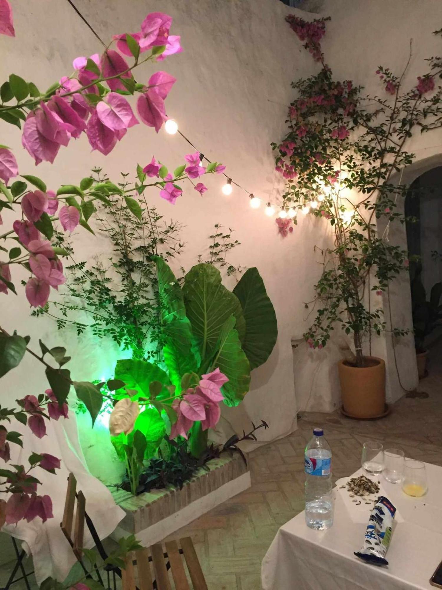 Villa The Traveller`s house AntiQua centro de Vejer con wifi Vejer de la Frontera Exterior foto